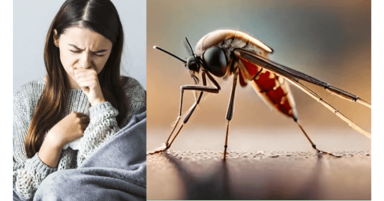 Untitled design 26 1