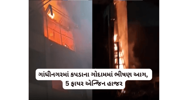 ગાંધીનગરમાં કપડાના ગોદામમાં ભીષણ આગ, 5 ફાયર એન્જિન હાજર Your paragraph text 1