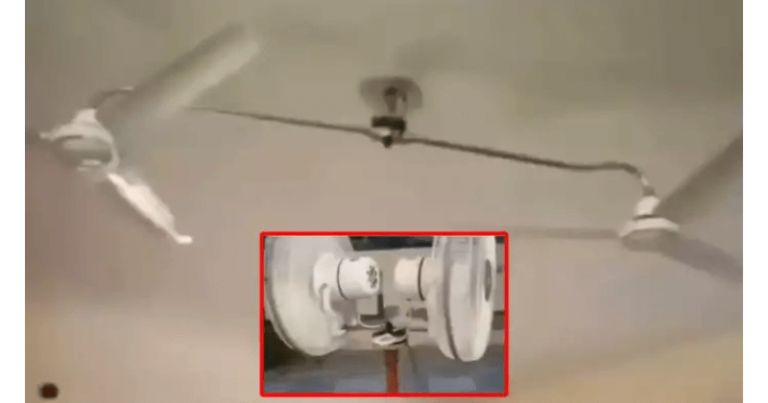 એક કનેક્શન પર બે પંખા ચલાવવાની ટ્રીક થઈ વાયરલ, એન્જિનિયરનું આ કામ જોઈને લોકો ચોંકી ગયા! Untitled 59