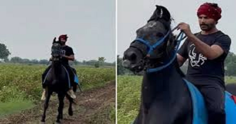 ફાર્મહાઉસમાં ઘોડેસવારીનો આનંદ ઉઠાવતા નજરે પડ્યાં ગુજરાતી ક્રિકેટર રવિન્દ્ર જાડેજા, જુઓ.. Untitled 102