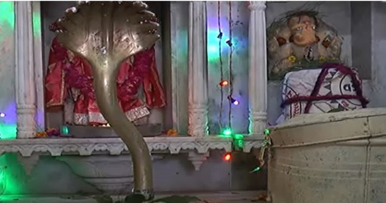 બનાસ નદીના તટ પર 700 વર્ષ જૂનું સોનેશ્વર મહાદેવનું મંદિર, ઇતિહાસ છે પીપળના પાન સાથે જોડાયેલો.. Untitled 29