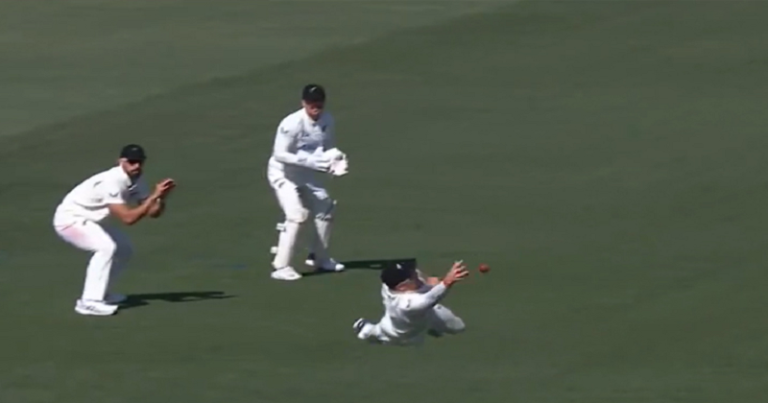 આવો કેચ તમે જીવનમાં નહીં જોયો હોય, જોઇને ચોંકી ઉઠ્યાં દર્શકો, જુઓ Video.. Untitled 302