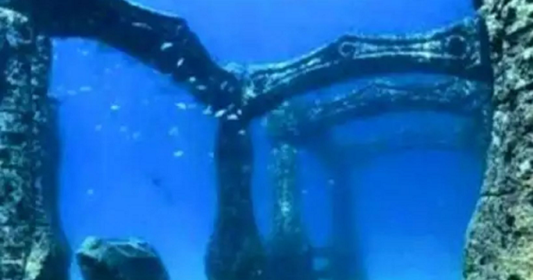 ખંભાતના અખાતમાં 9500 વર્ષ જુની ડૂબેલી સમાધિ મળી, સાથે આખું નગર.. Untitled 70