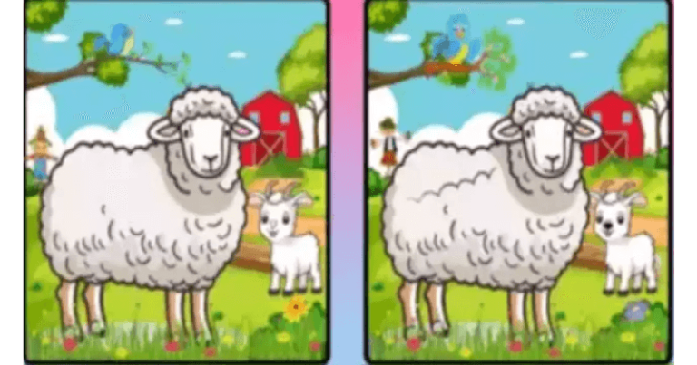 99% લોકો આ તસવીર માંથી 7 તફાવત નથી શોધી શક્યા, જોઈ તમે કેટલા બુદ્ધિશાળી છો, જાણો જવાબ અહી untitled 150