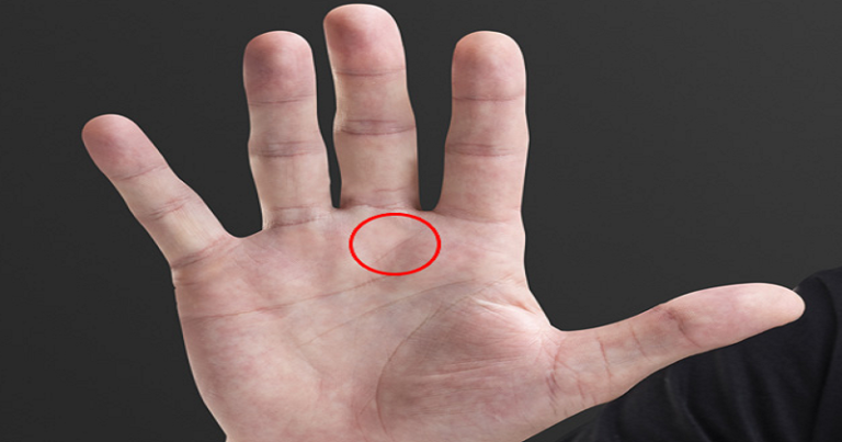 જેના હાથમાં બનેલું છે V નિશાન, તે 30 વર્ષ બાદ કમાય છે અઢળક ધન… Untitled 74