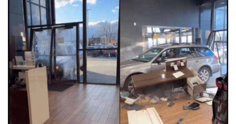 જ્યારે ગ્રાહકે પૈસા પરત કરવાનો ઇનકાર કર્યો, તો યુવકે કર્યું કઈક આવું; વિડિઓ જુઓ Untitled design 1