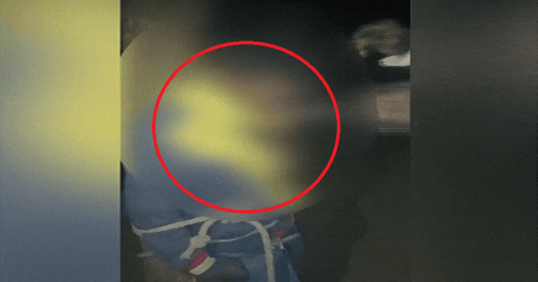 બનાસકાંઠામાં યુવકોને તાલિબાની સજા., ઝાડ સાથે બાંધીને ફટકાર્યા બાદ કાપ્યા વાળ…. Untitled 119