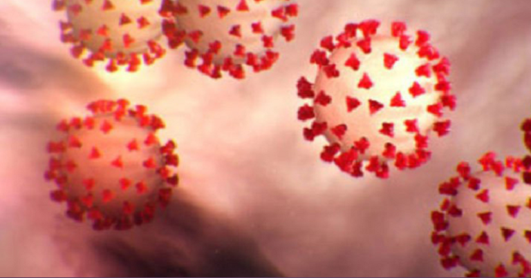 HMPV વાયરસ સૌથી પહેલો એટેક શરીરના કયા ભાગ પર કરે છે., બૉડીમાં તરત દેખાય છે આ ફેરફાર… Untitled 41