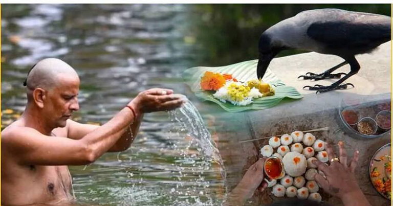 શ્રાદ્ધમાં કરેલી અવગણના નોંતરશે જિંદગીભર મુશ્કેલી, સમજી લે સંતાનો… Untitled 47