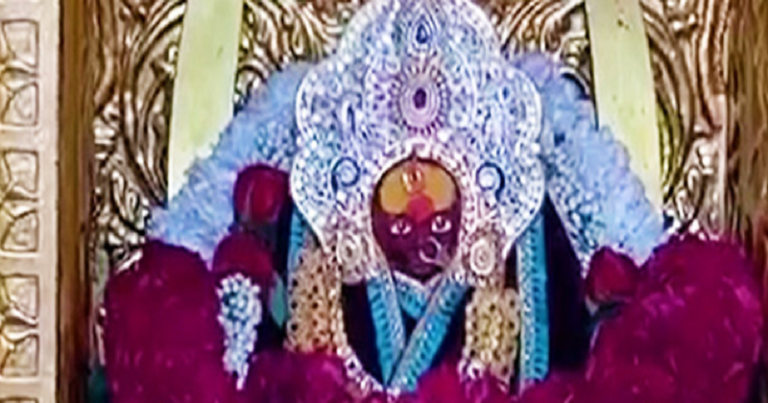 કેશુડાના ઝાડ નીચે સ્વયંભૂ પ્રગટ થયા મા ચેહર, રબારી સમાજને માતાજીનો પરચો Untitled 46