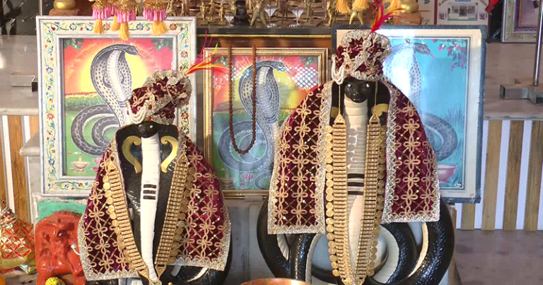 સાક્ષાત બિરાજમાન નાગફણામાં નાગદેવતા, ભક્તોને હાજરાહજૂર 250 વર્ષથી આપે છે દર્શન… Untitled 70