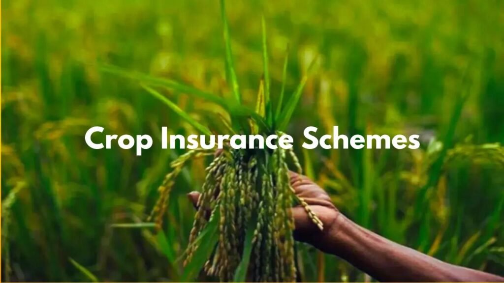 Crop Loss Assistance Scheme 2026